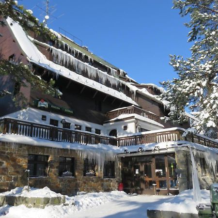 Penzion Sykovec Hotel Tři Studně Exterior foto